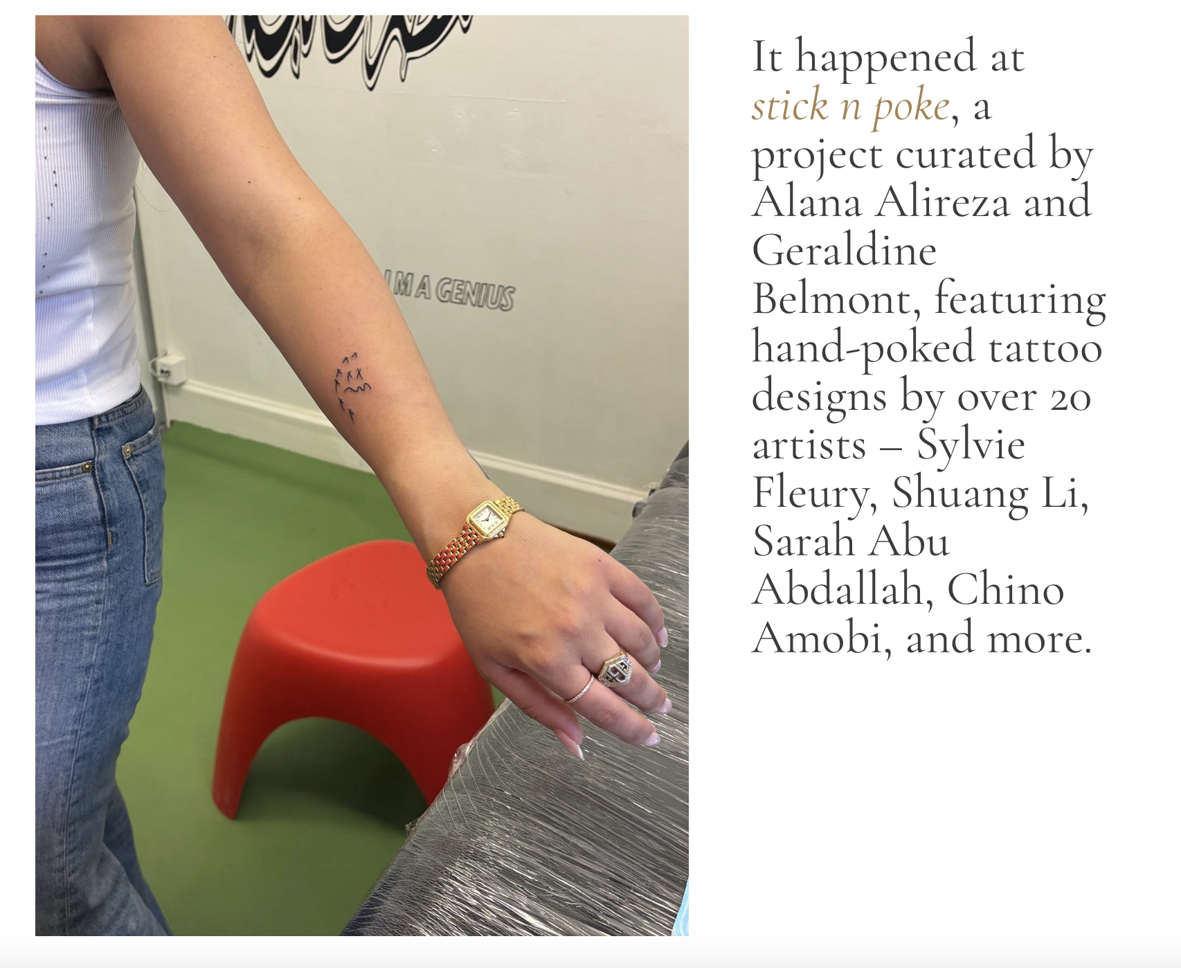 Perediza Article Screenshot