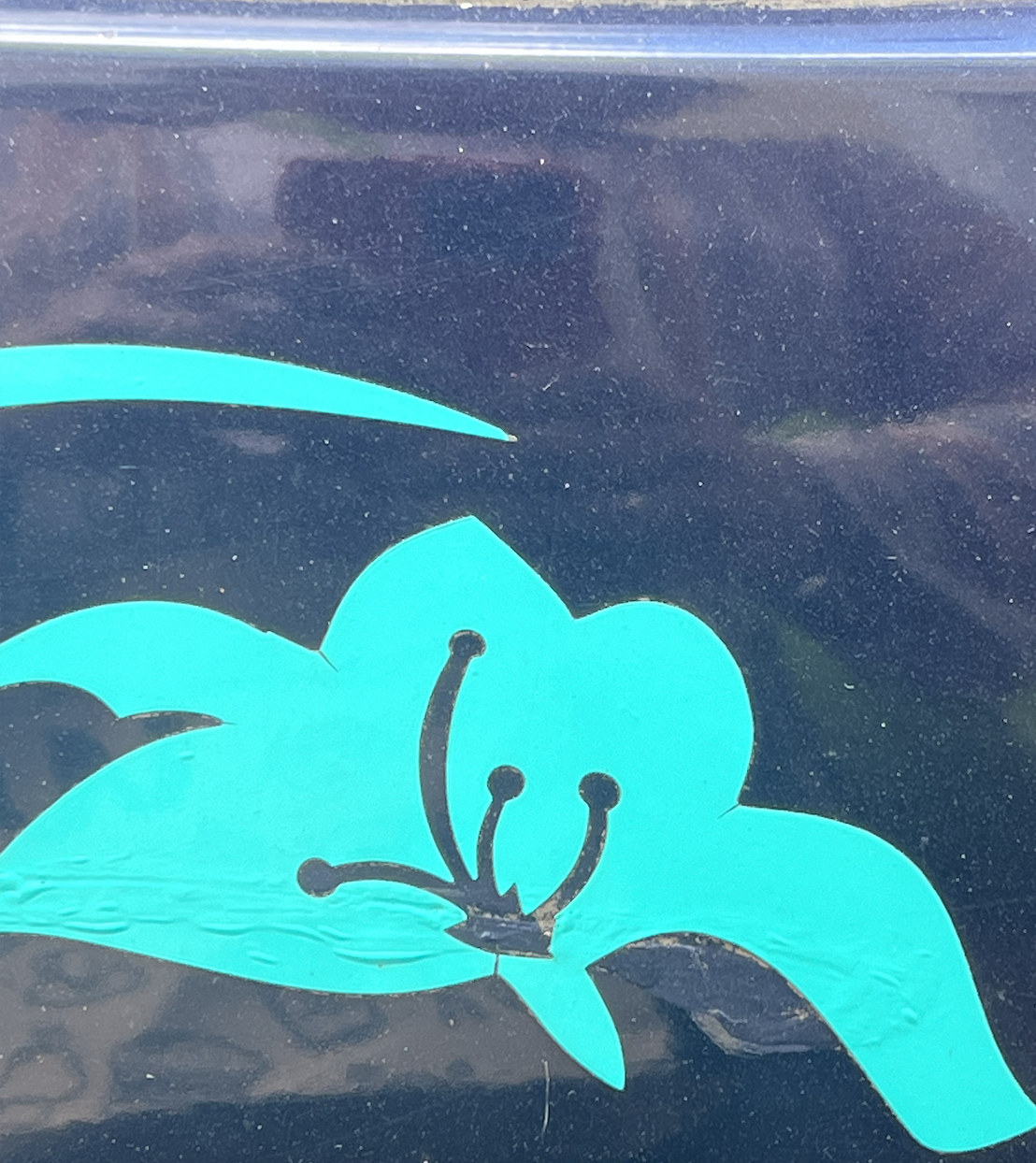 Alana Alireza Homepage